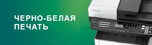 черно-бедая печать распечатка документов экспресс-печать